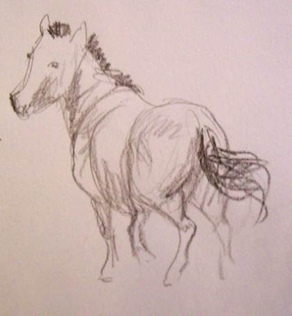 Aprender a dibujar caballos - Curso online
